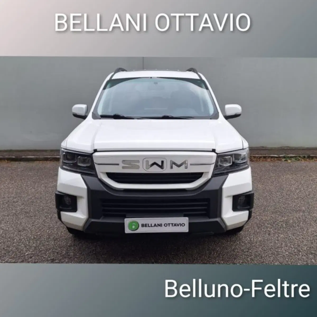 SWM G03F nuova a Belluno (2)