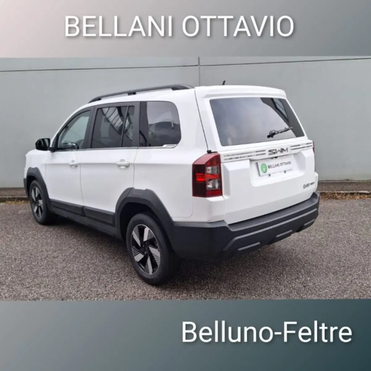 SWM G03F nuova a Belluno (4)
