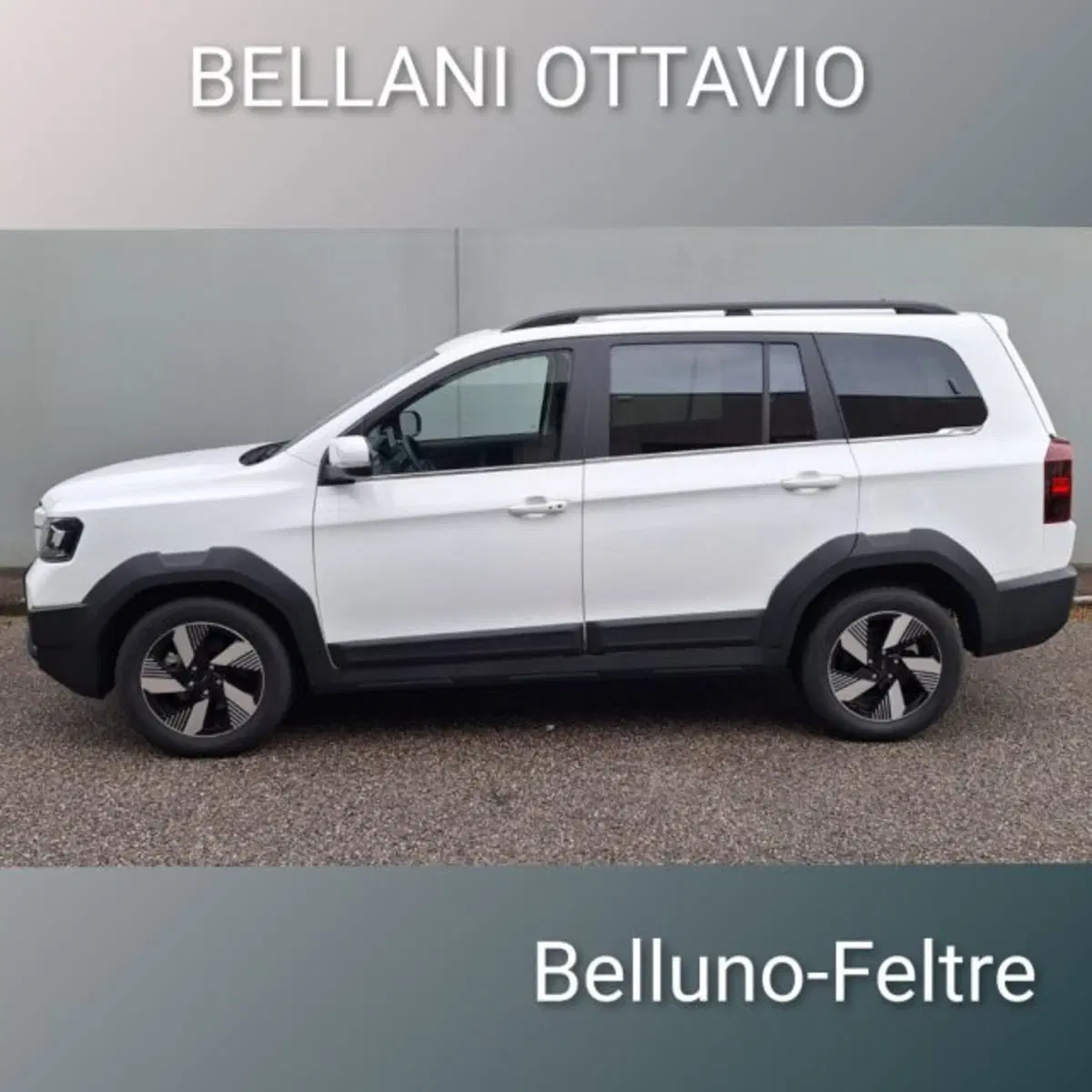 SWM G03F nuova a Belluno (5)