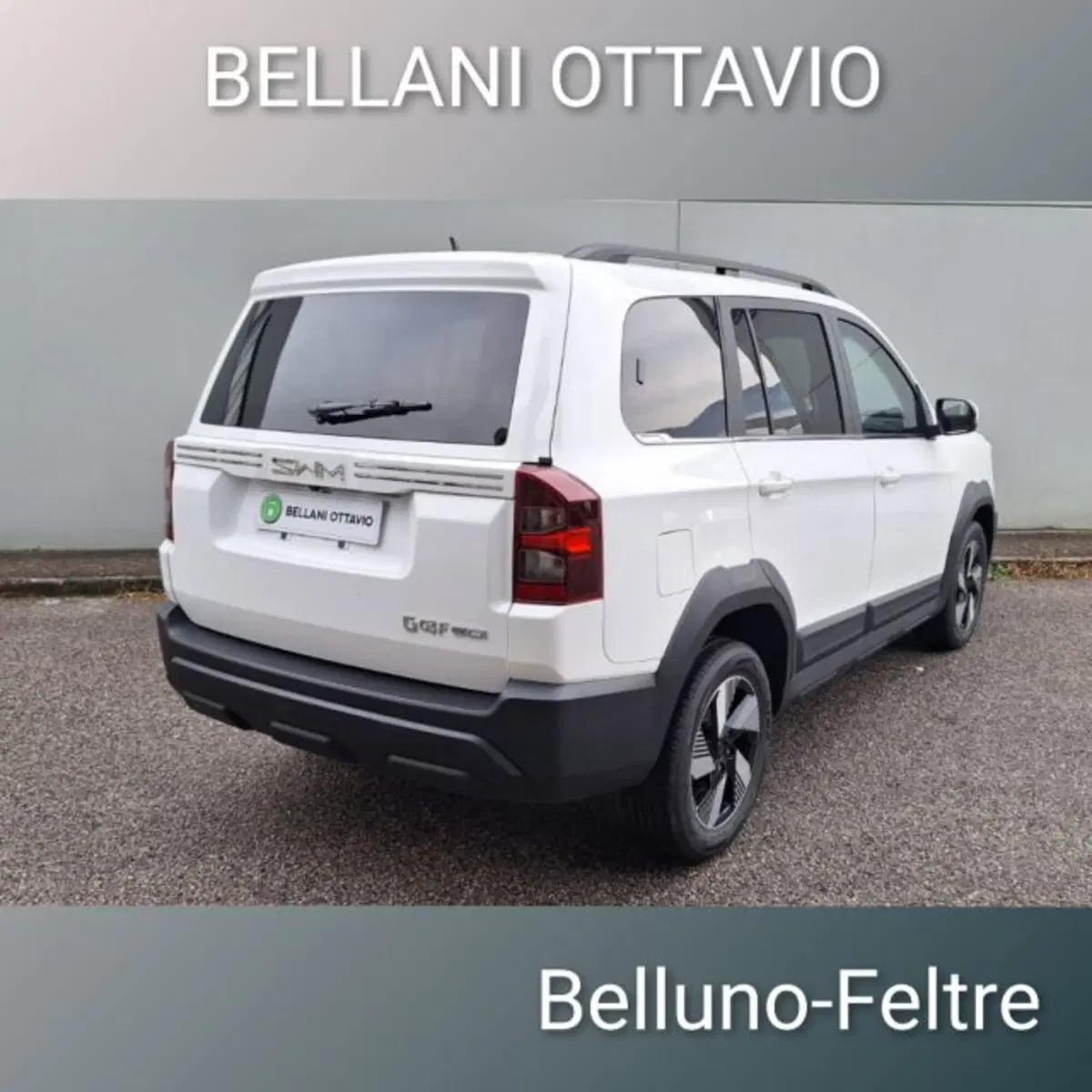 SWM G03F nuova a Belluno (6)