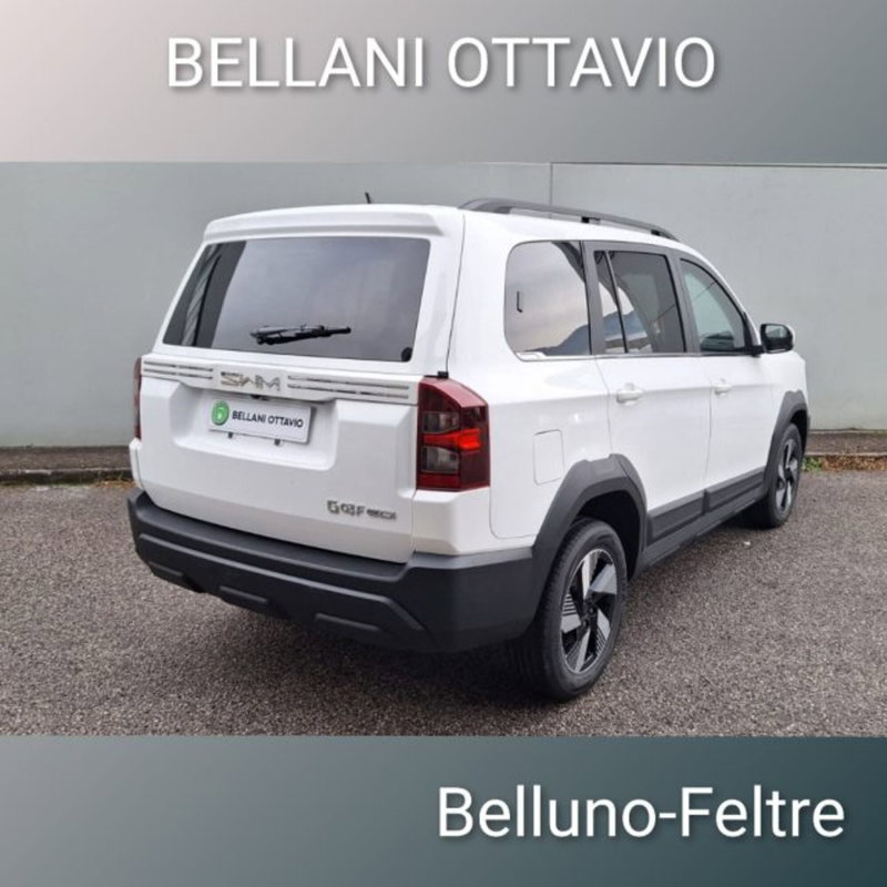 SWM G03F nuova a Belluno (6)