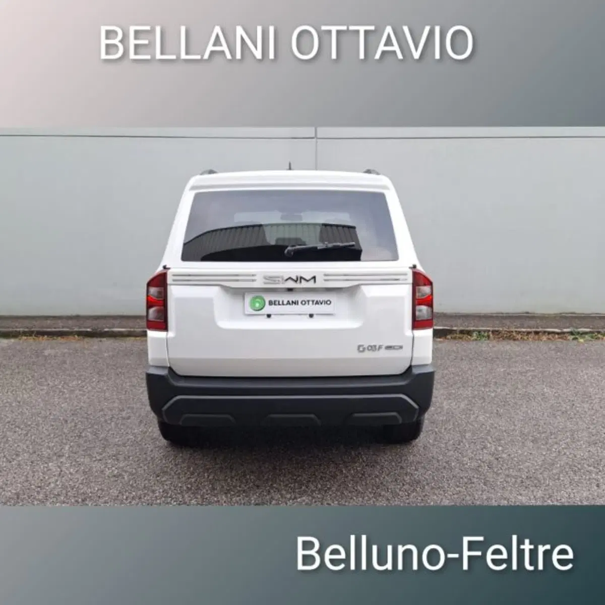 SWM G03F nuova a Belluno (7)