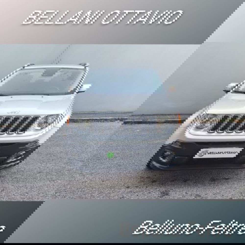 Jeep Renegade usata a Belluno (2)