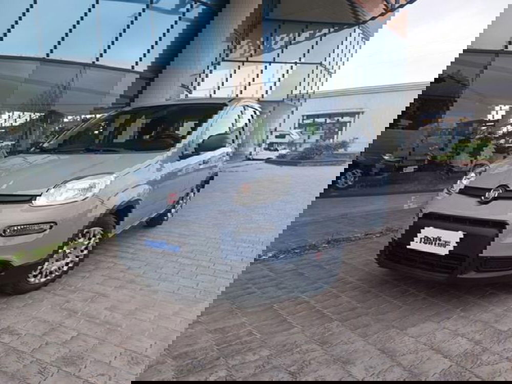 Fiat Panda usata a Pisa