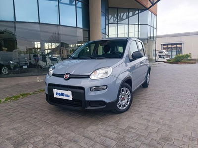 Fiat Panda 1.0 firefly hybrid s&amp;s 70cv del 2022 usata a Castelfranco di Sotto