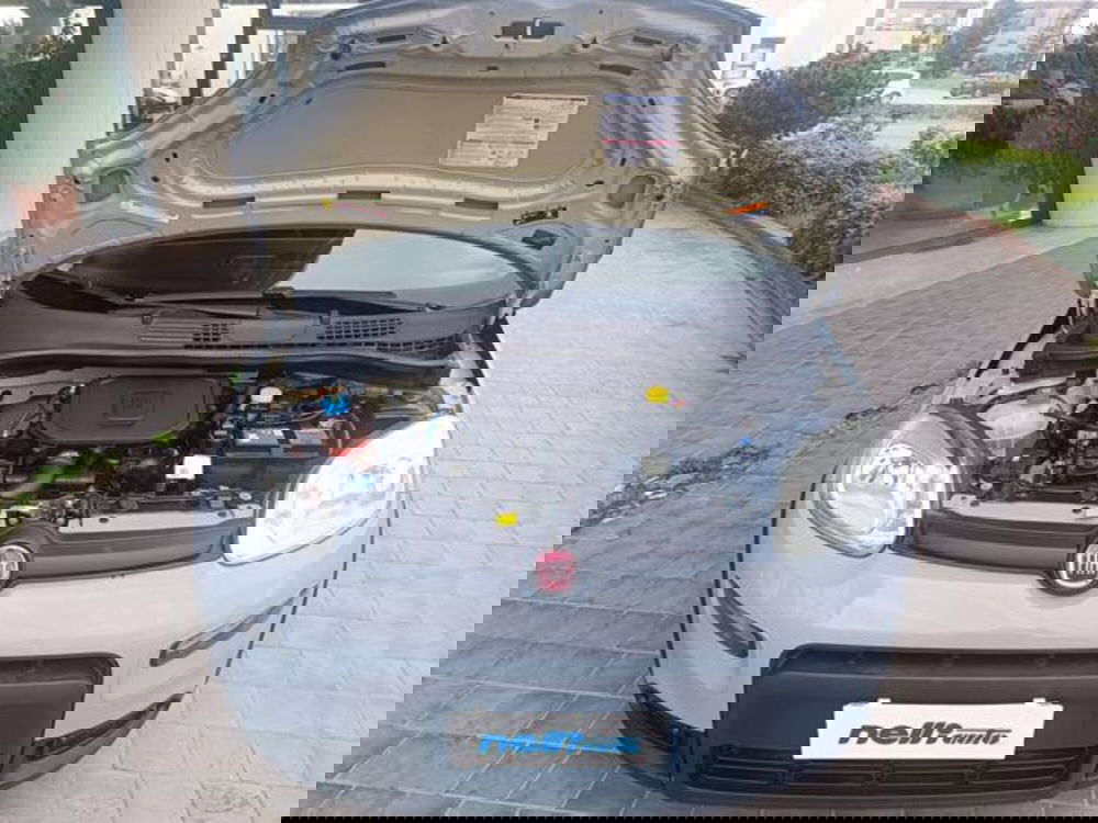 Fiat Panda usata a Pisa (16)