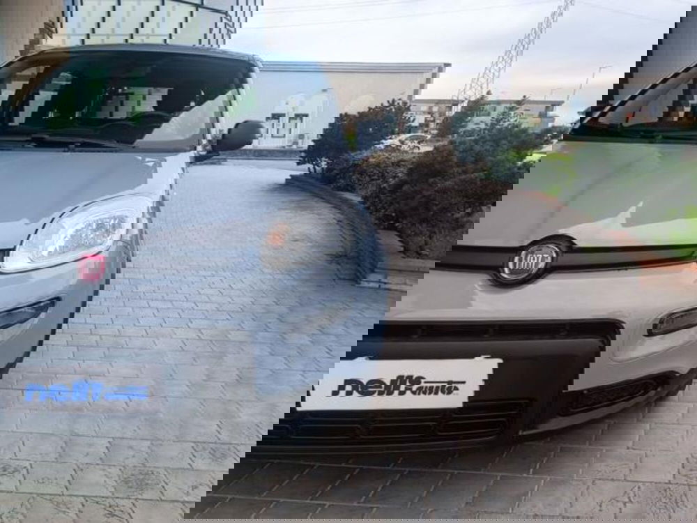Fiat Panda usata a Pisa (18)