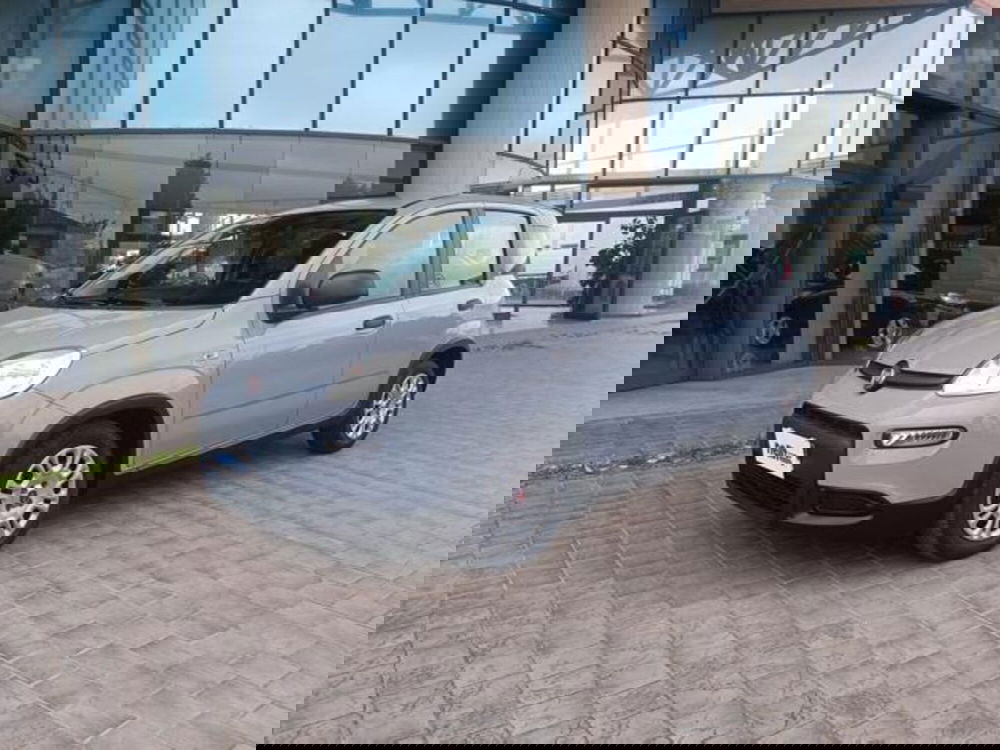 Fiat Panda usata a Pisa (19)