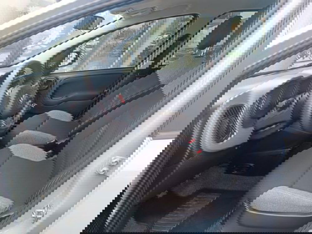 Fiat Panda usata a Pisa (4)