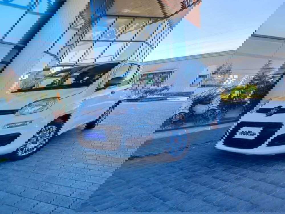 Fiat Panda usata a Pisa