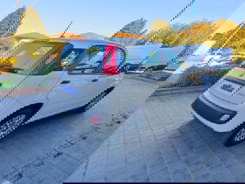 Fiat Panda usata a Pisa (11)