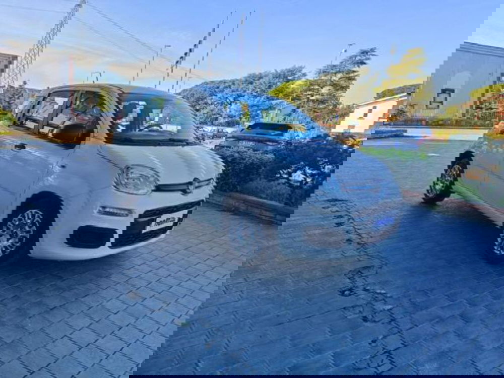 Fiat Panda usata a Pisa (14)