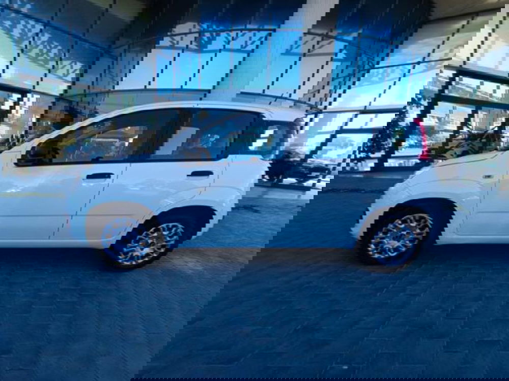 Fiat Panda usata a Pisa (15)
