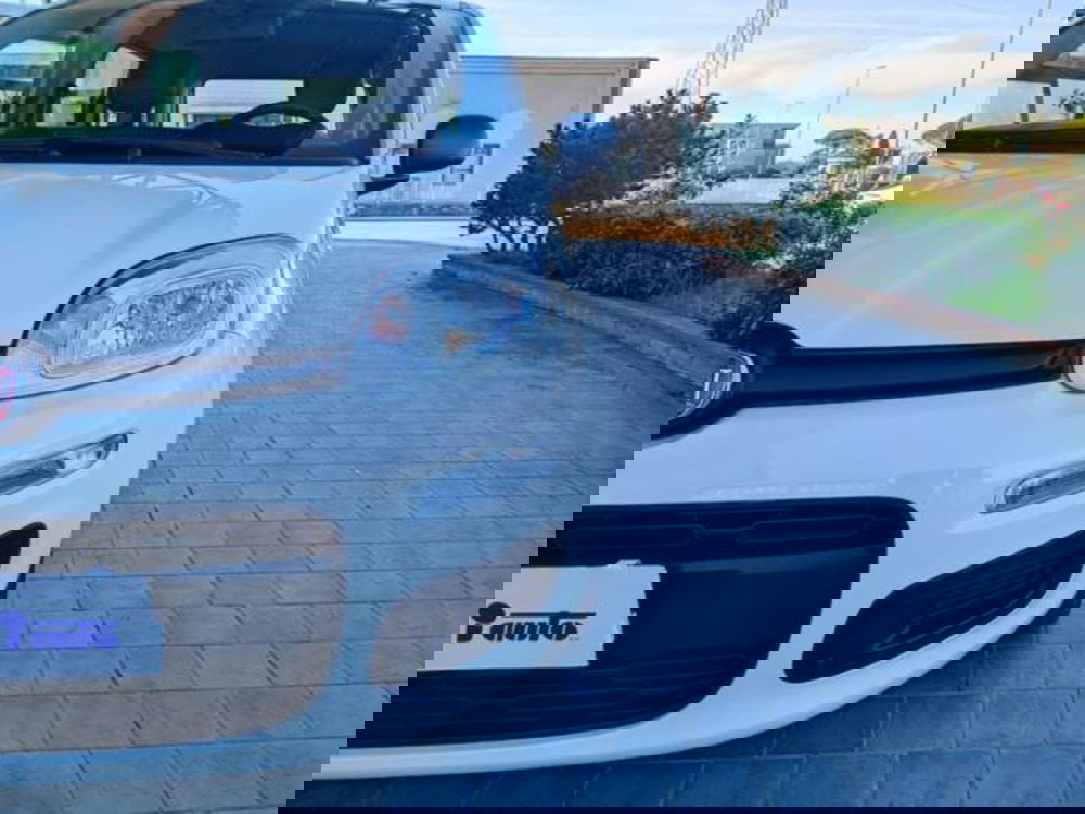 Fiat Panda usata a Pisa (17)