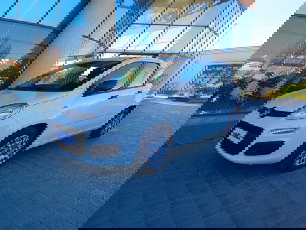 Fiat Panda usata a Pisa (18)