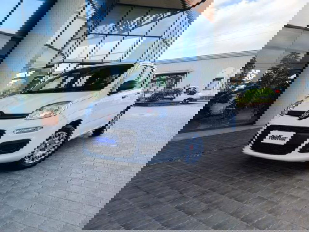 Fiat Panda usata a Pisa