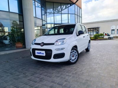 Fiat Panda 1.0 firefly hybrid s&amp;s 70cv 5p.ti del 2021 usata a Castelfranco di Sotto