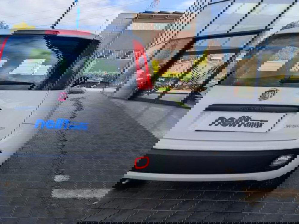 Fiat Panda usata a Pisa (10)