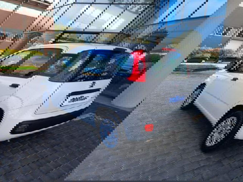 Fiat Panda usata a Pisa (13)