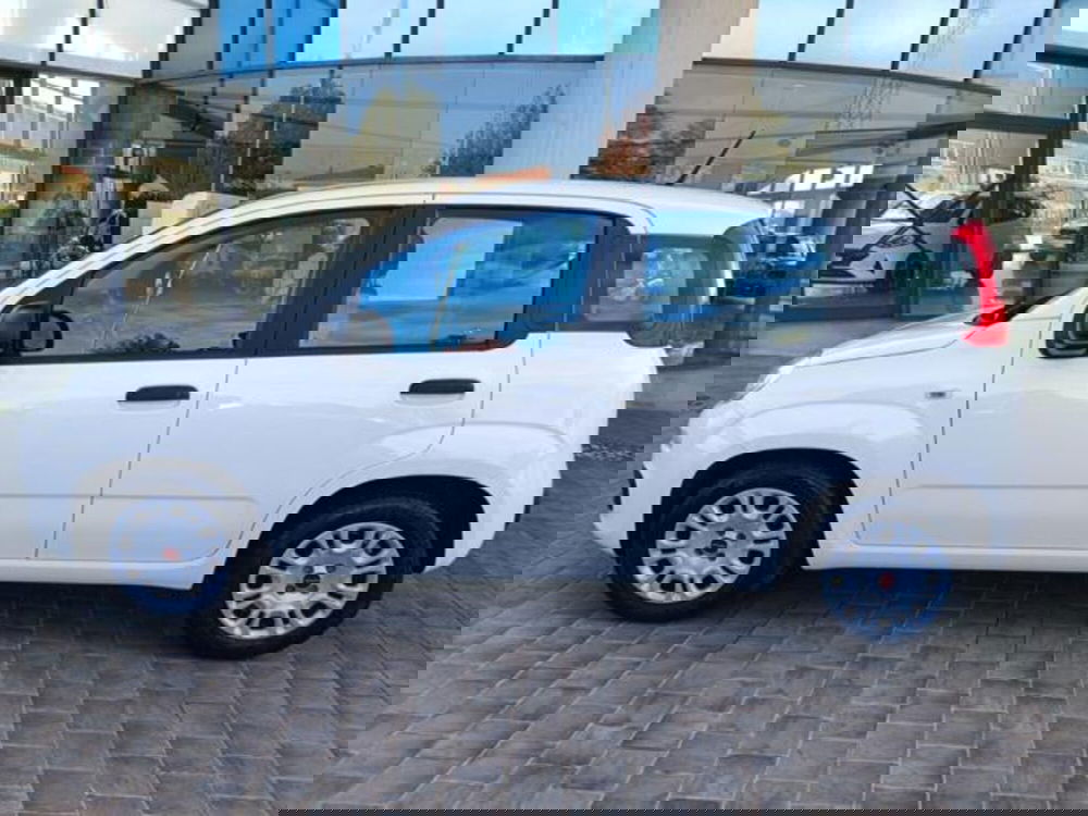 Fiat Panda usata a Pisa (14)