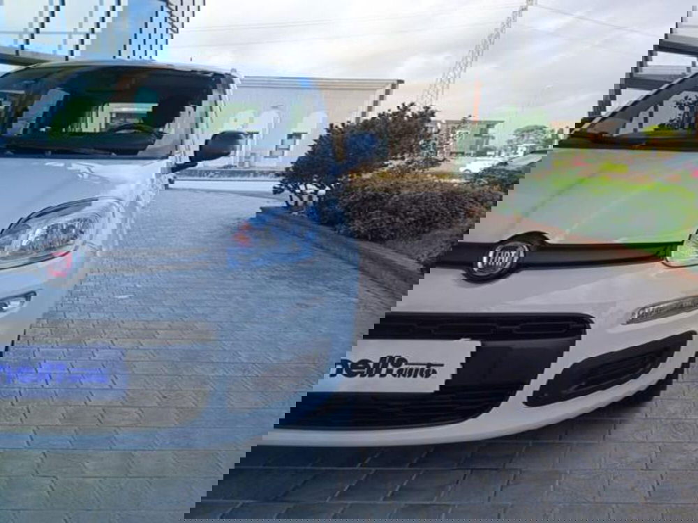 Fiat Panda usata a Pisa (16)