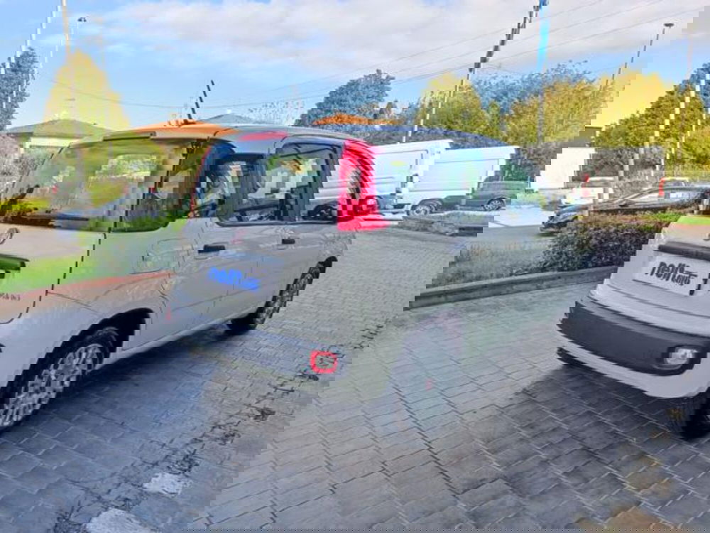 Fiat Panda usata a Pisa (17)