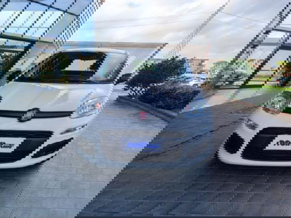 Fiat Panda usata a Pisa (18)