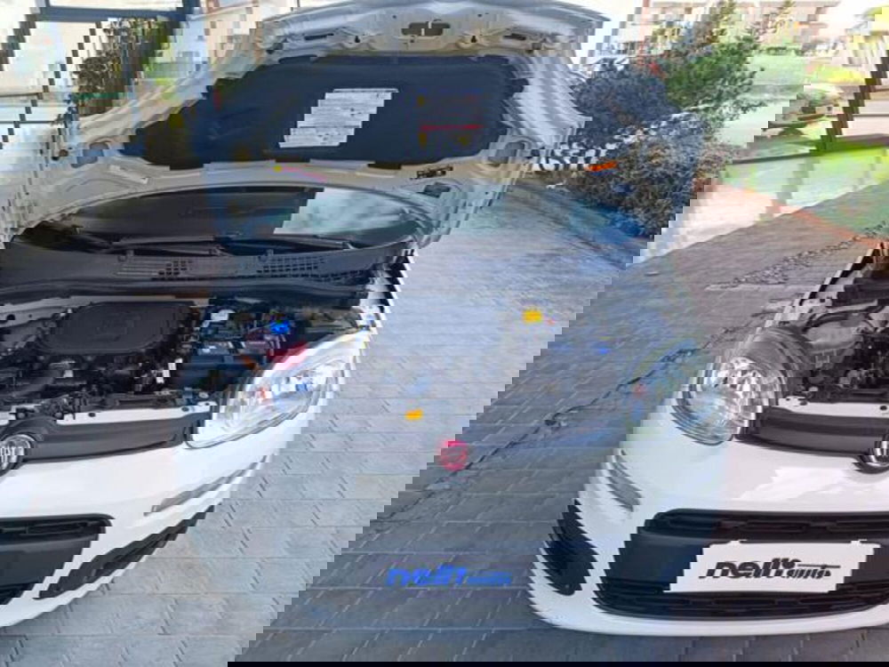 Fiat Panda usata a Pisa (19)