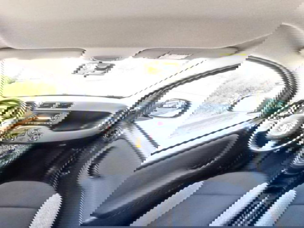Fiat Panda usata a Pisa (2)