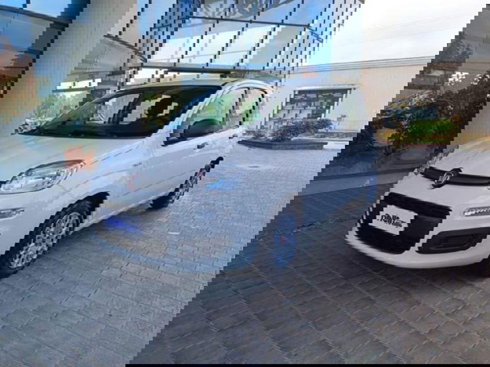 Fiat Panda usata a Pisa (20)