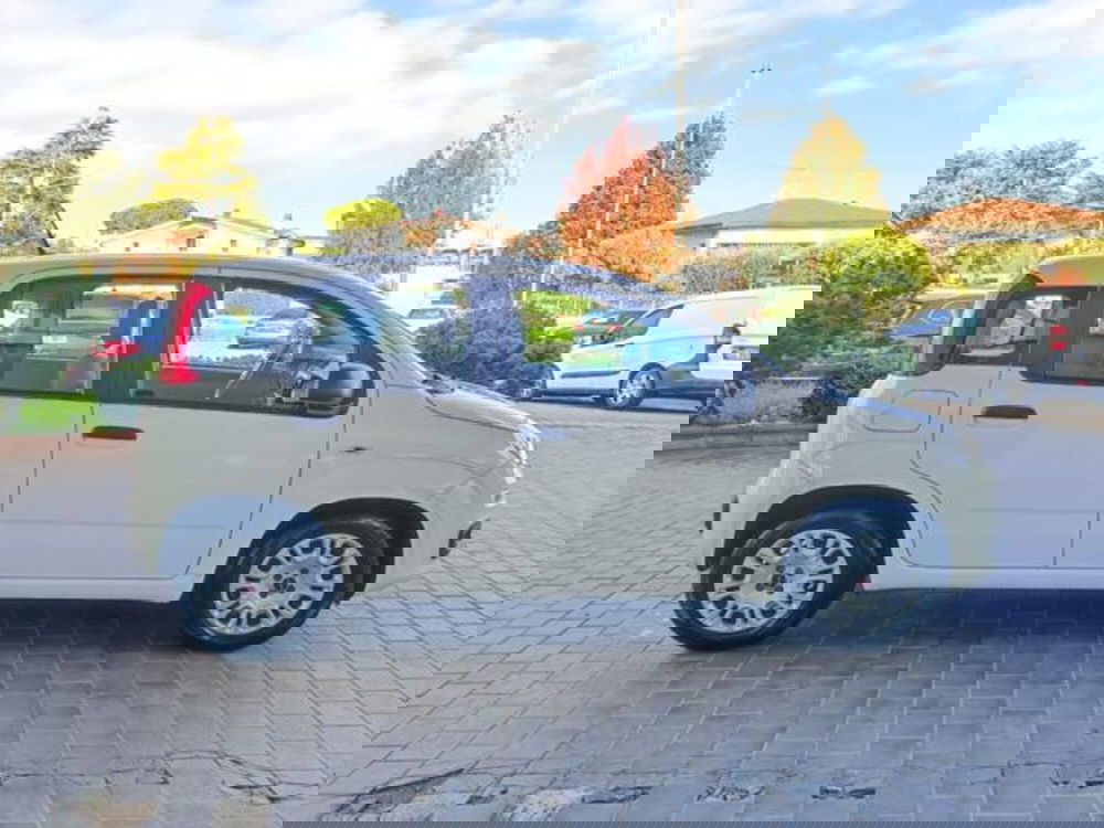 Fiat Panda usata a Pisa (8)
