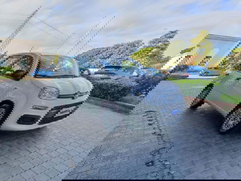 Fiat Panda usata a Pisa (9)