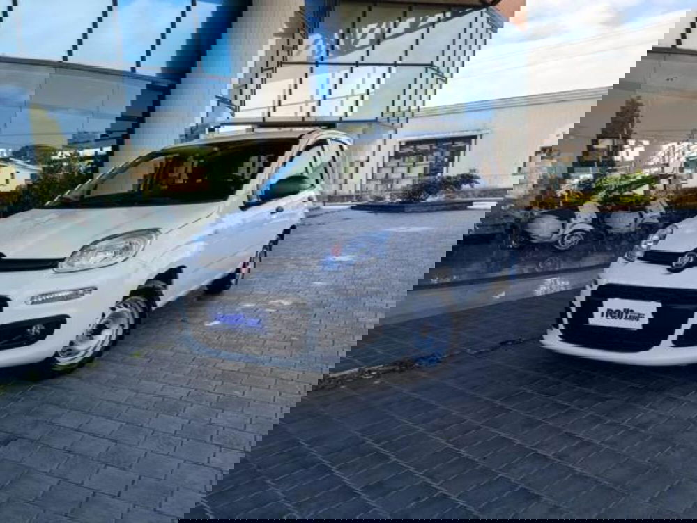 Fiat Panda usata a Pisa