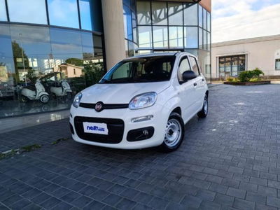Fiat Panda 1.0 firefly hybrid s&amp;s 70cv 5p.ti del 2021 usata a Castelfranco di Sotto