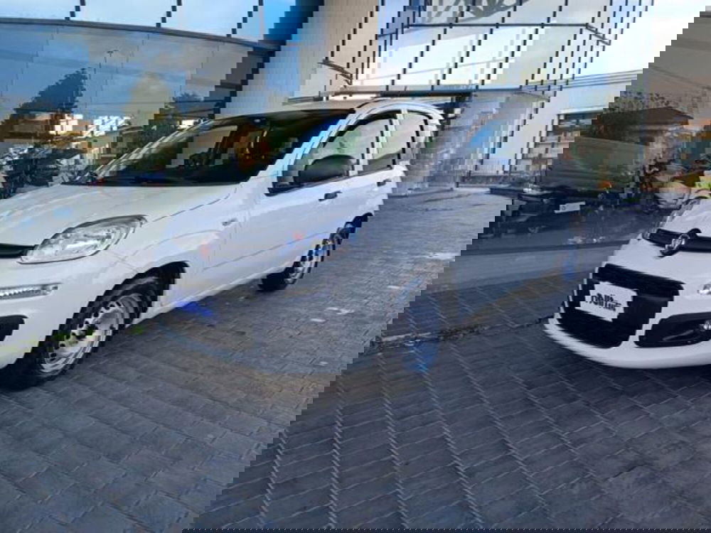 Fiat Panda usata a Pisa (11)