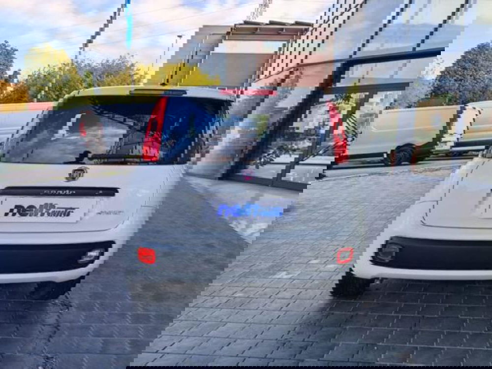 Fiat Panda usata a Pisa (13)