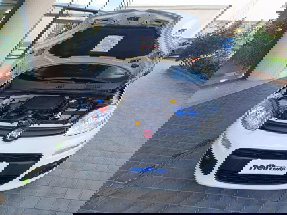 Fiat Panda usata a Pisa (14)