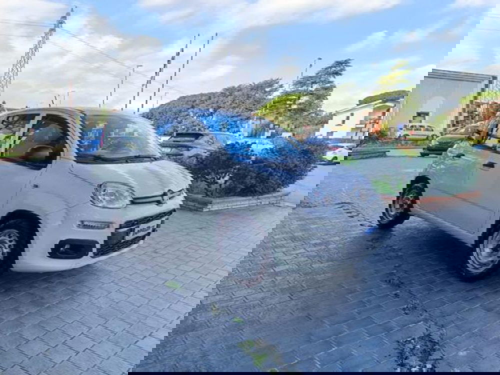 Fiat Panda usata a Pisa (3)