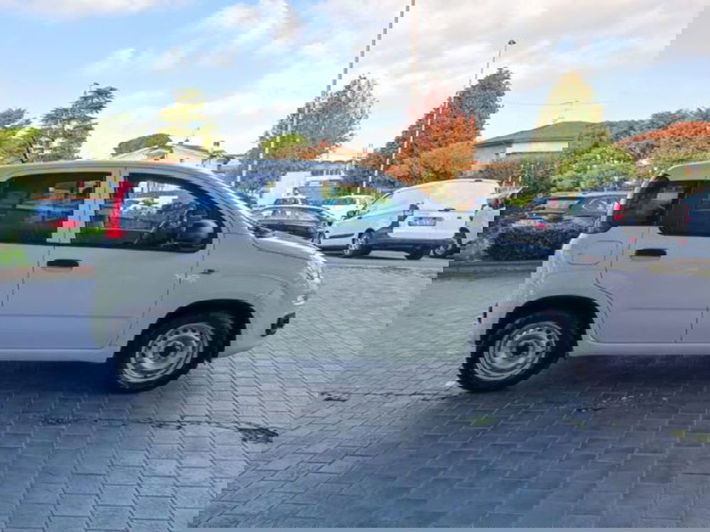 Fiat Panda usata a Pisa (4)