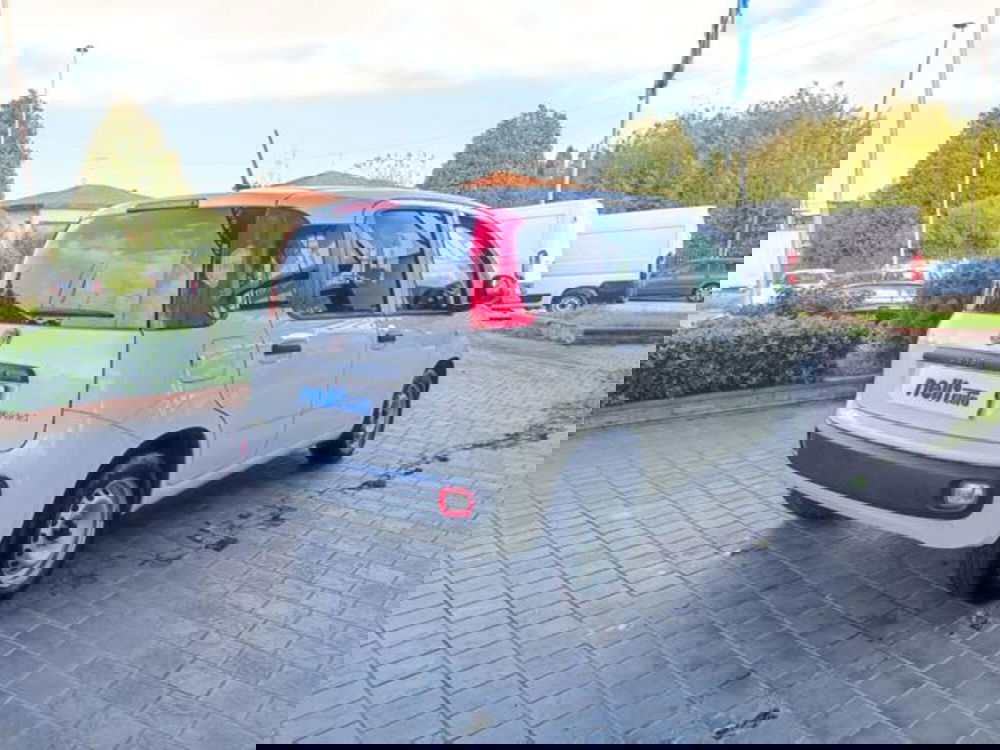 Fiat Panda usata a Pisa (5)