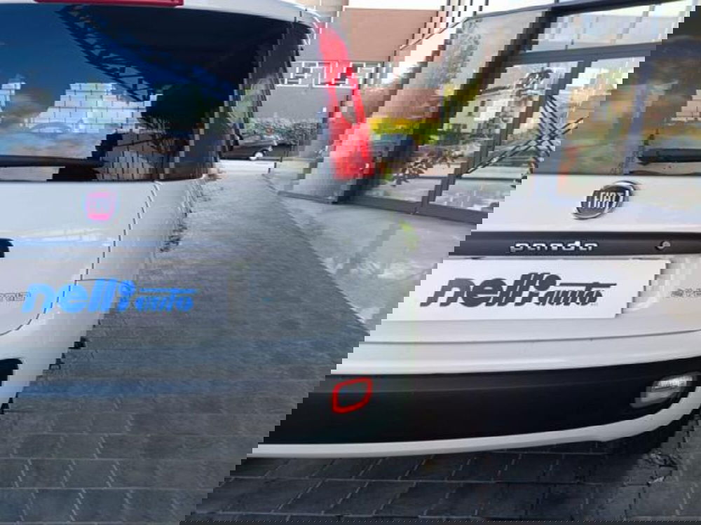 Fiat Panda usata a Pisa (6)
