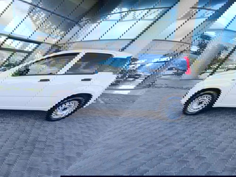 Fiat Panda usata a Pisa (9)