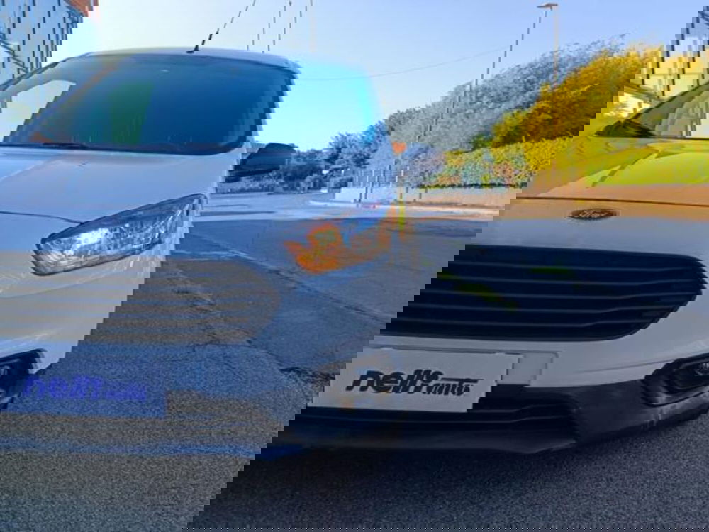 Ford Transit Courier usata a Pisa (11)