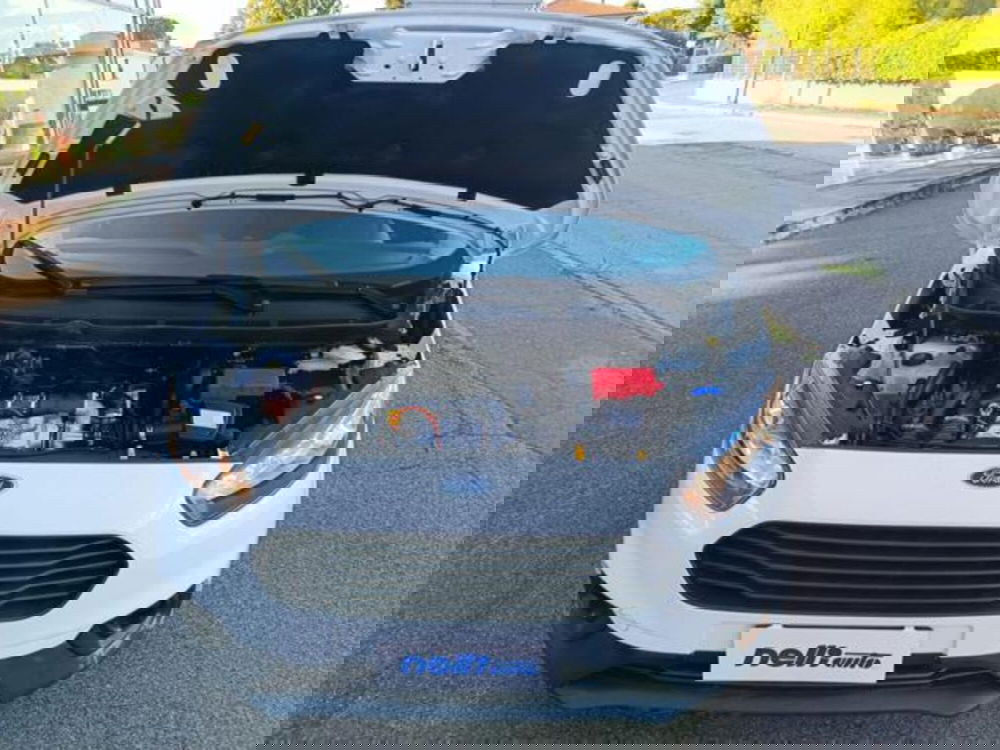 Ford Transit Courier usata a Pisa (13)