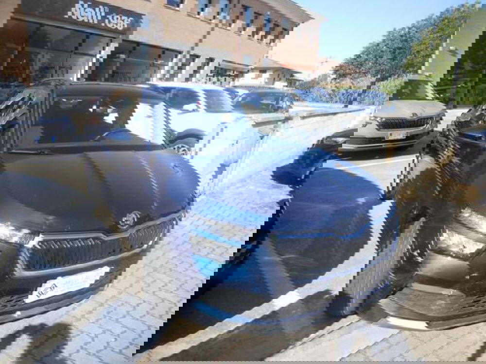 Skoda Kamiq usata a Pisa (3)