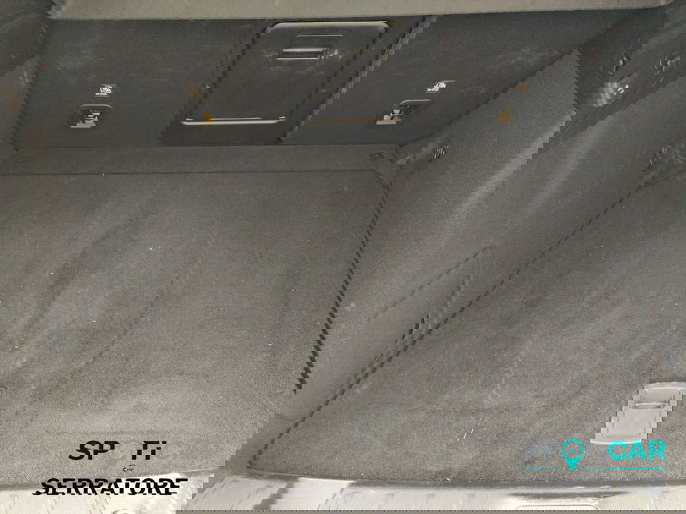 Alfa Romeo Tonale usata a Como (19)