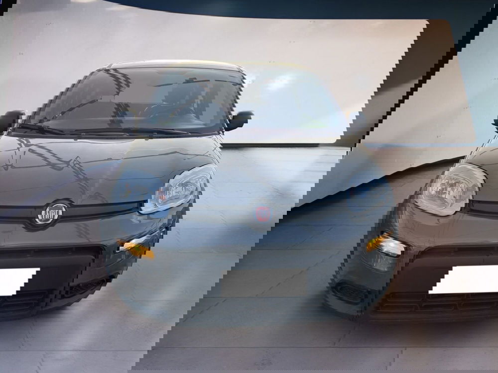 Fiat Panda usata a Torino