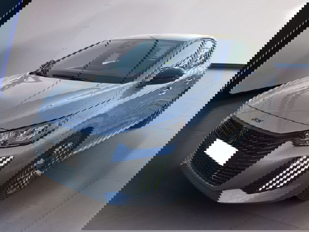 Peugeot 208 usata a Torino (2)