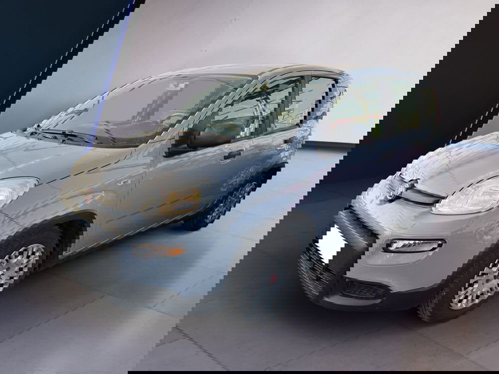 Fiat Panda usata a Torino (2)