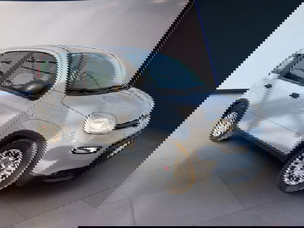 Fiat Panda usata a Torino (3)